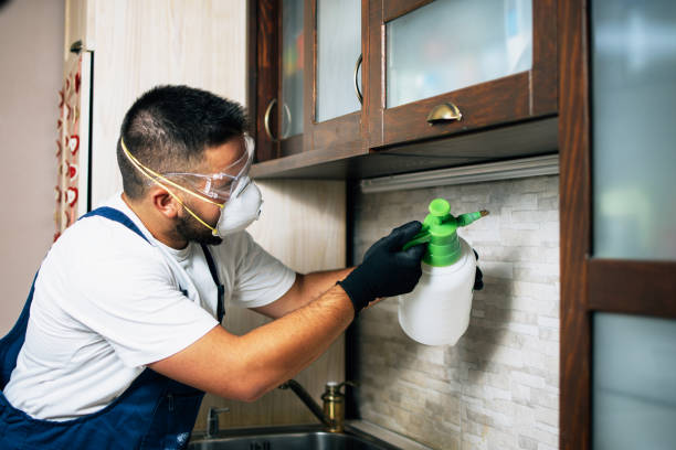 Best Pest Inspection Near Me  in North Hills, NY