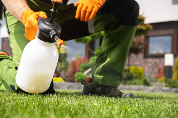 Best Mosquito Control Services  in North Hills, NY