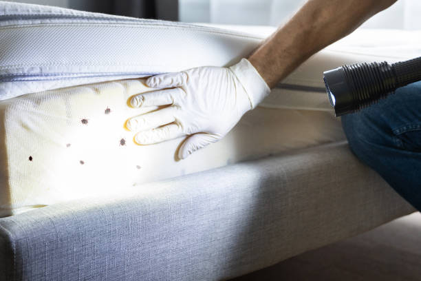 Best Commercial Pest Control Services  in North Hills, NY