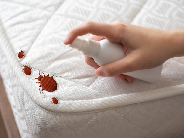 Best Pest Control for Restaurants  in North Hills, NY