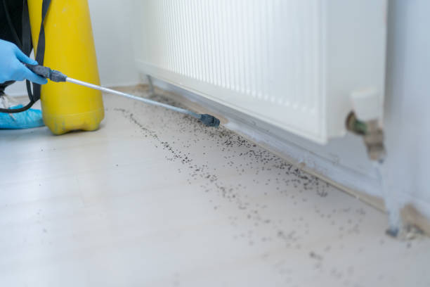 Best Best Pest Control Companies  in North Hills, NY