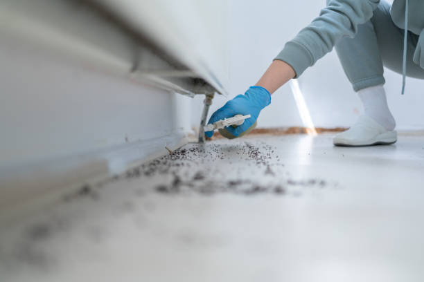 Best Cockroach Control Services  in North Hills, NY